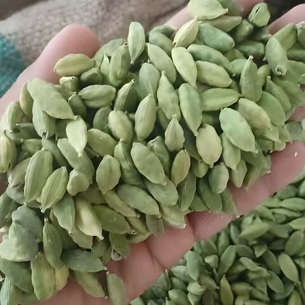 Whole Green Cardamom Bulk Supply - Food & Agriculture by M/S. Capital Enterprise