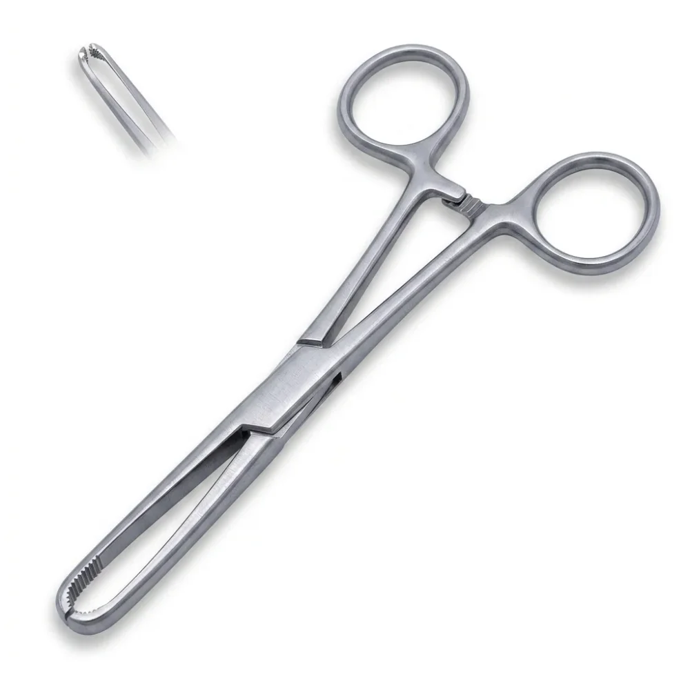 Stainless Steel Allis Tissue Holding Forceps - Healthcare & Medical by Accurate Surgicals
