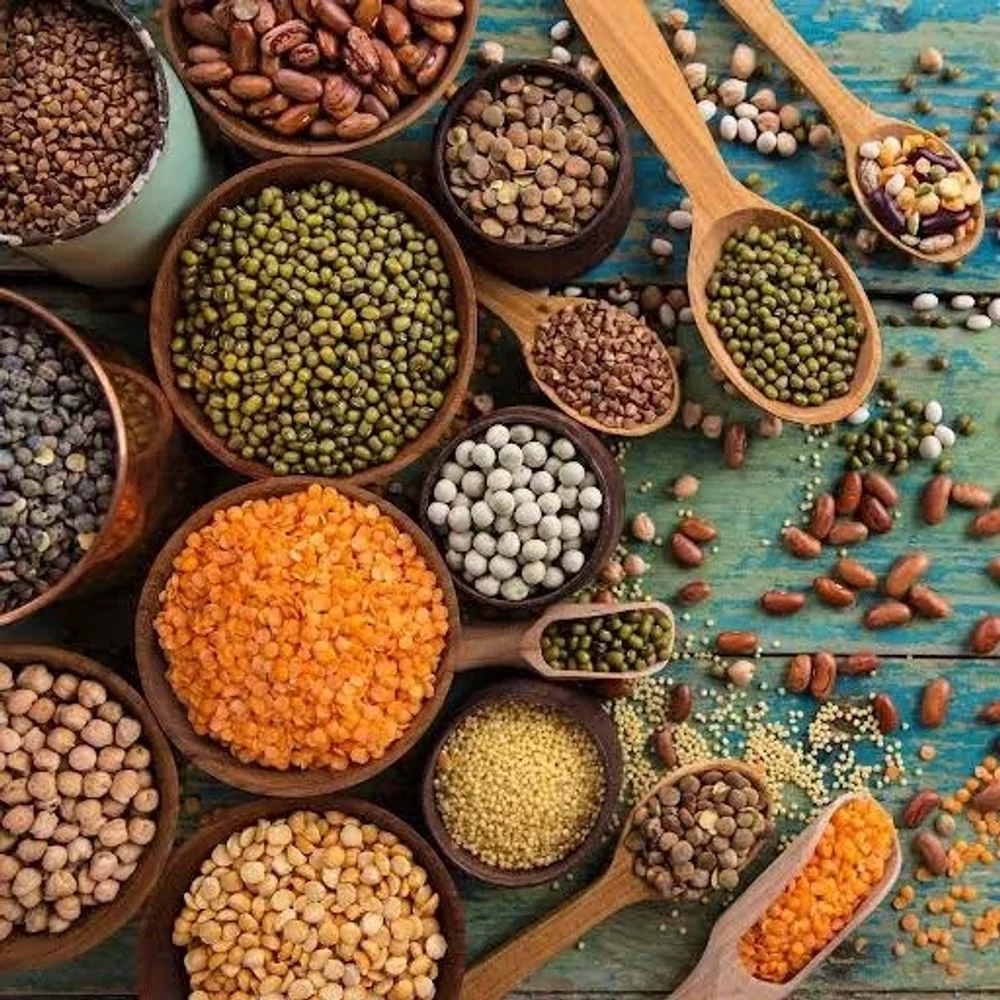 Bulk Pulses for Food Manufacturers - Food & Agriculture by Krishnapriya Export and Import