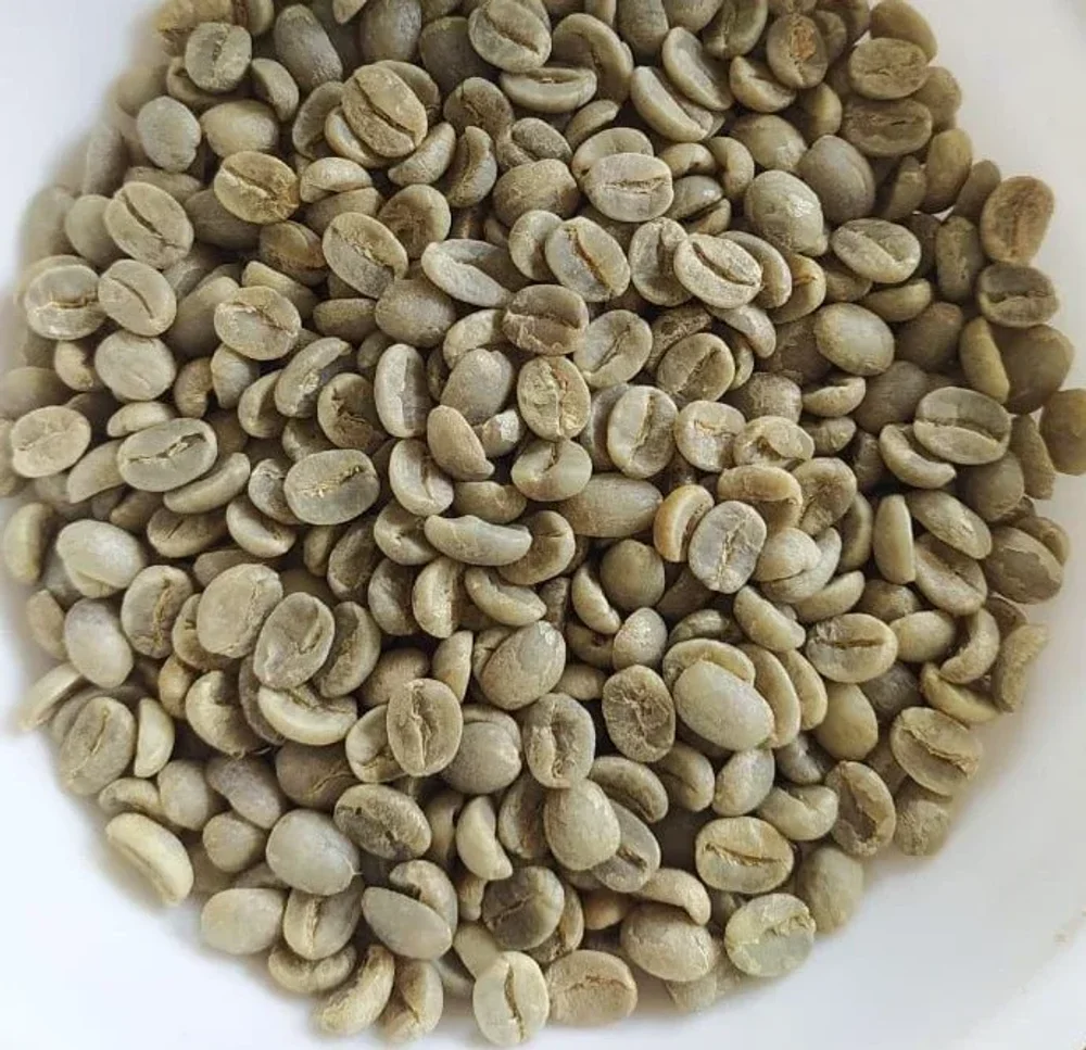 Chikkamagaluru Robusta Aaa Green Coffee - Food & Agriculture by RK Natural Exports