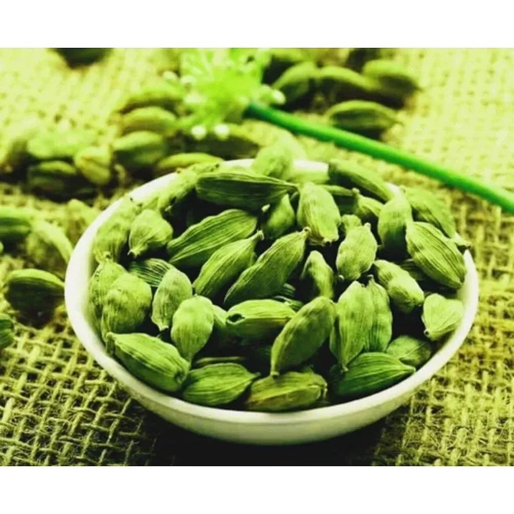 Extra Bold 7.5mm Green Cardamom Whole - Food & Agriculture by Ksar Inforcement (OPC) Pvt. Ltd.