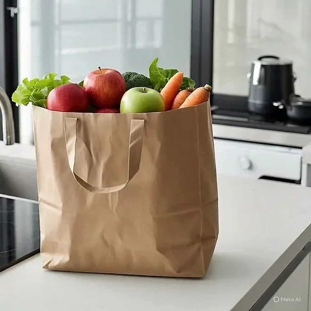 10 kg Recycled Kraft Paper Bag with Twisted Handles - Packaging & Printing by Raunaq Envelopes and Printers