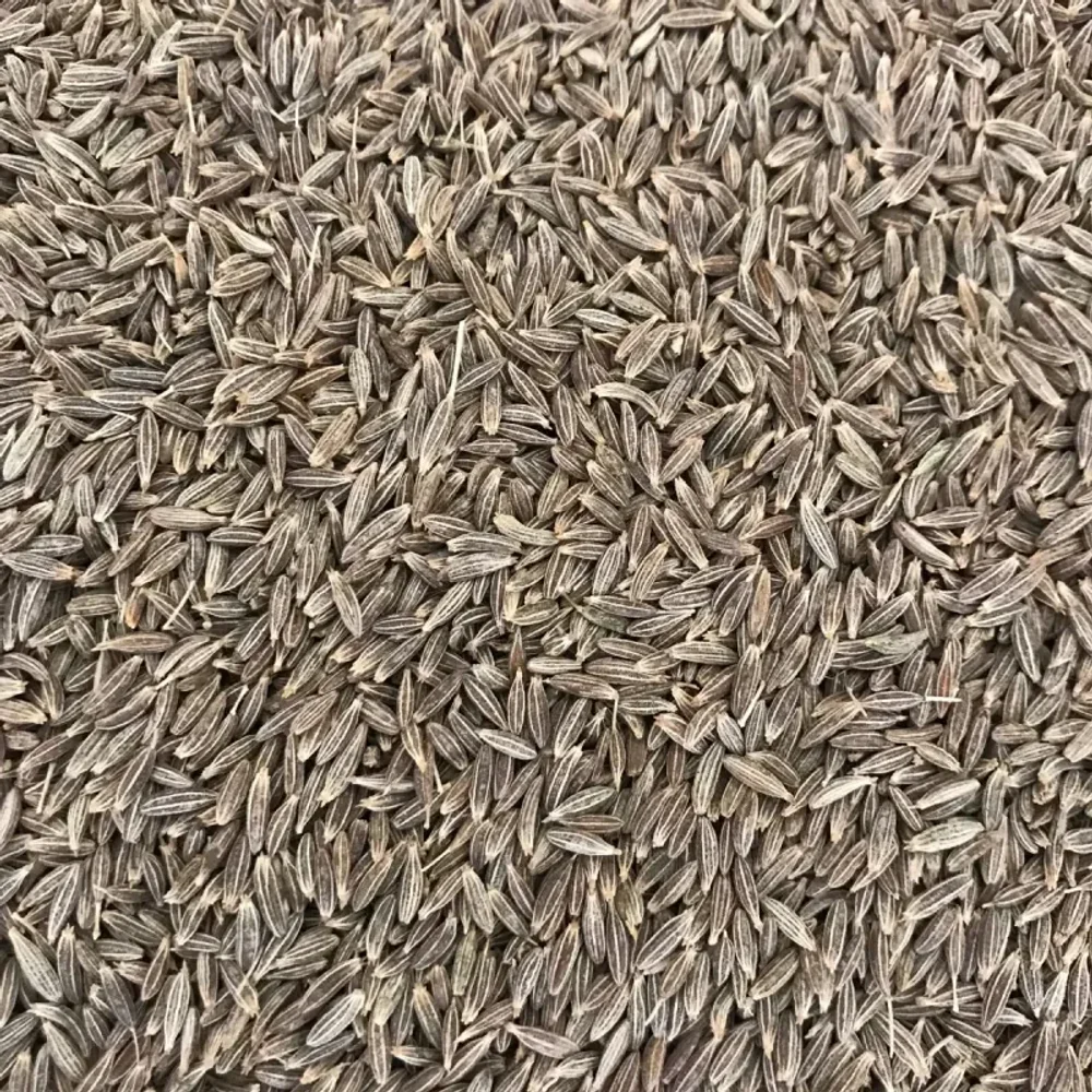 Export Grade Cumin Seeds - Food & Agriculture by Sirsi Malnad Impex
