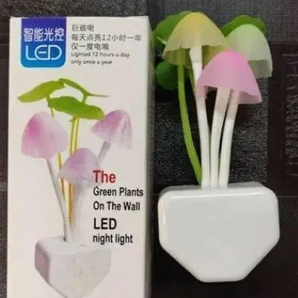 LED Night Light - Electronics & Electrical by Aaradhya Nutrabites