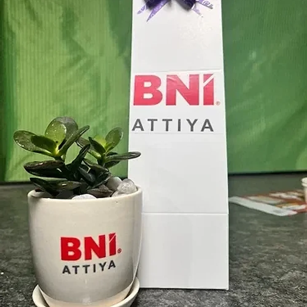 Bni Attiya Ceramic Succulent Planter Gift Set - Home & Kitchen by Cerra and Terra Home Decor