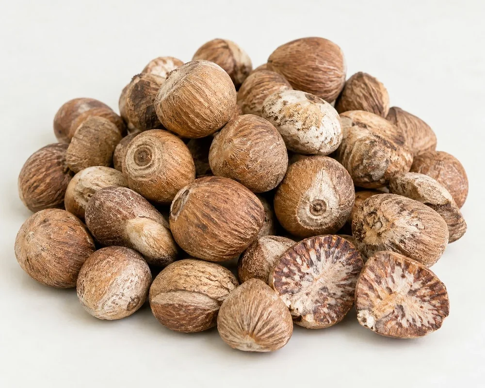 Dried Whole Arecanut Premium Quality - Food & Agriculture by Qaswa Global Exports