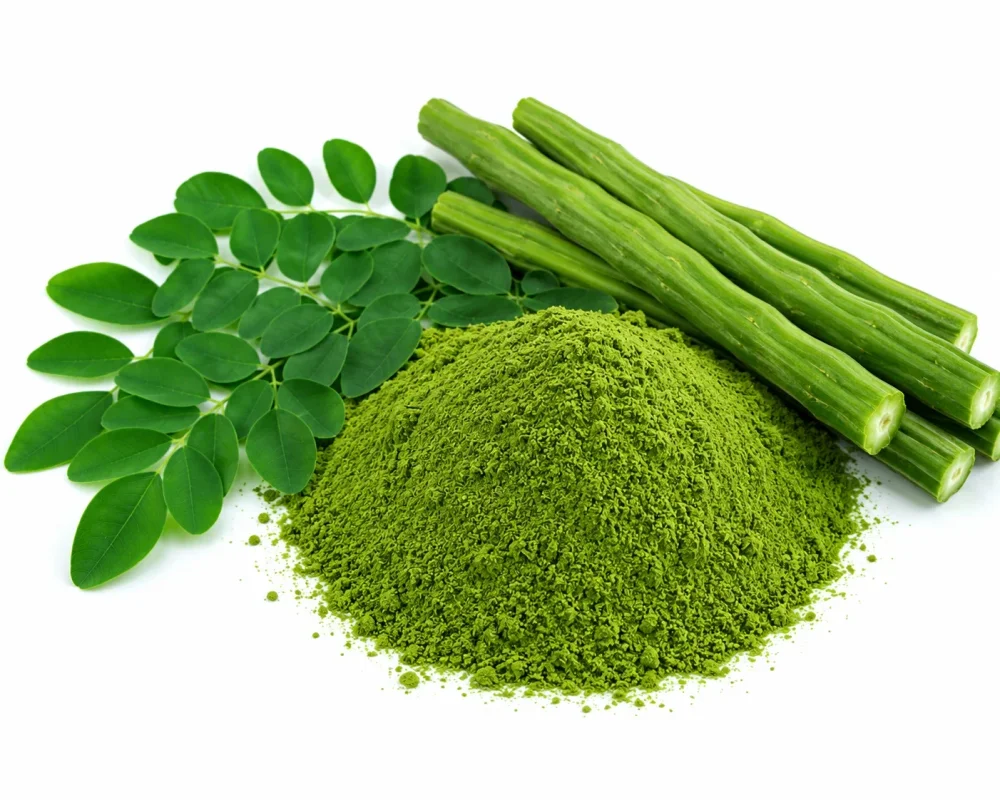 Organic Export Quality Moringa Powder - Food & Agriculture by Salaragrand Pvt. Ltd.