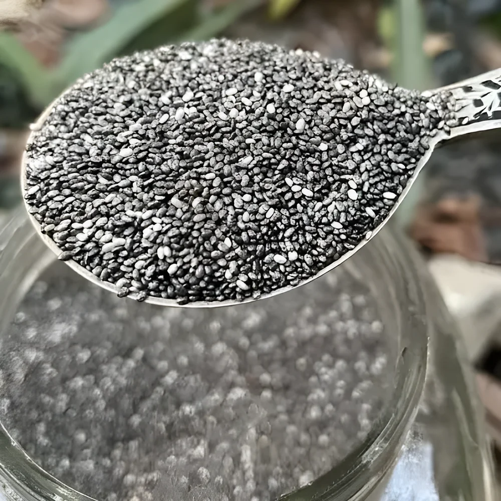 Chia Seeds - Food & Agriculture by Sahyoga Naturals Agroventures Pvt. Ltd.