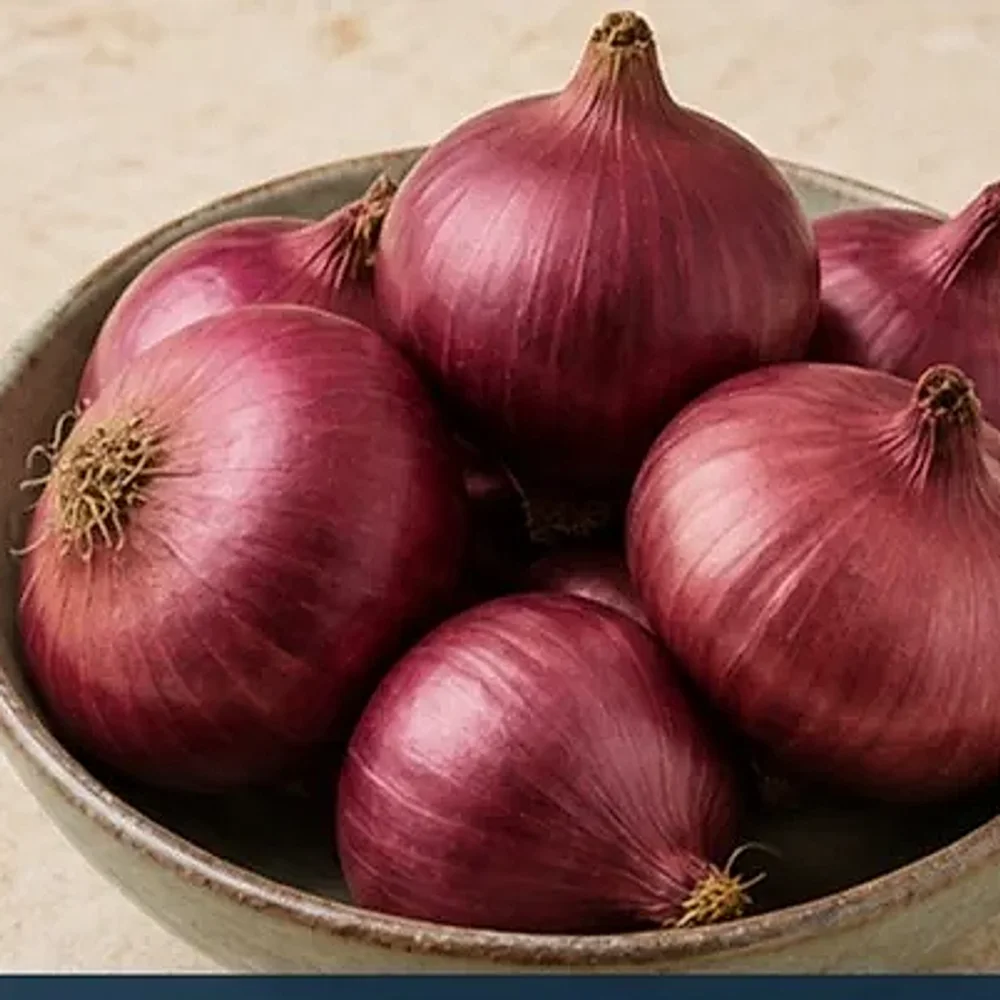 Fresh Red Onion - Food & Agriculture by Globus Global Trade Import and Export