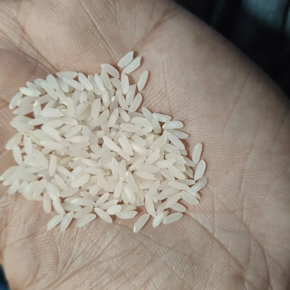 Rice of All Varieties - Food & Agriculture by Bharat Traders
