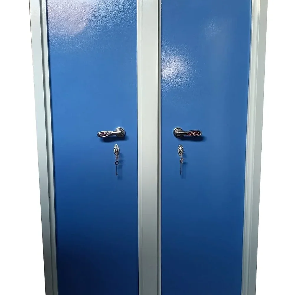 Iron Blue Double Door Painted Almirah - Furniture & Interiors by M/S. Atika Safe
