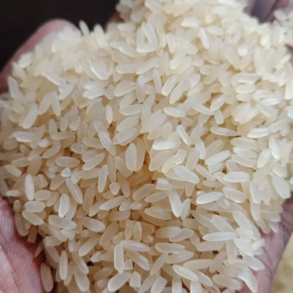 Bulk Parboiled Rice Export Quality - Food & Agriculture by Deltaa Export
