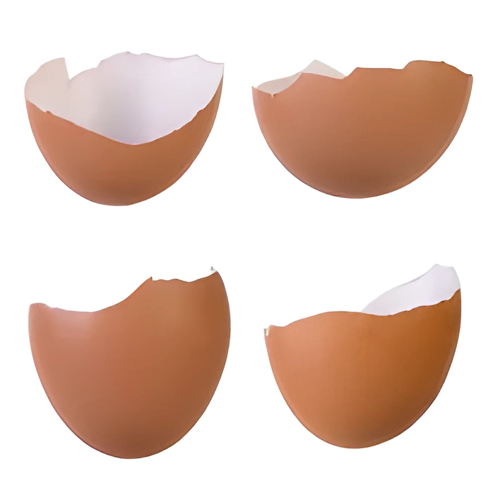 Yalix Pharma Grade Egg Shell Powder - Food & Agriculture by Shri Vinayaga Traders