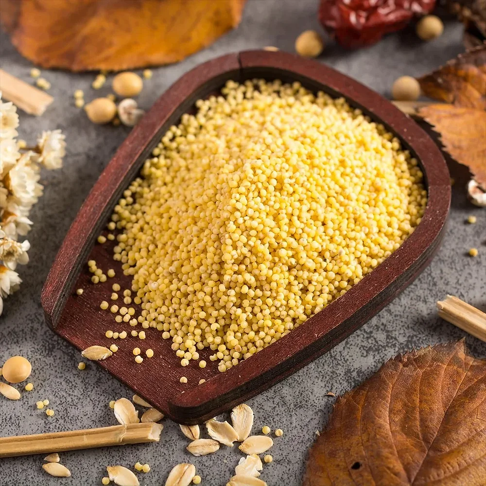 Little Millet (Gajro) - Food & Agriculture by Ali Agri Export