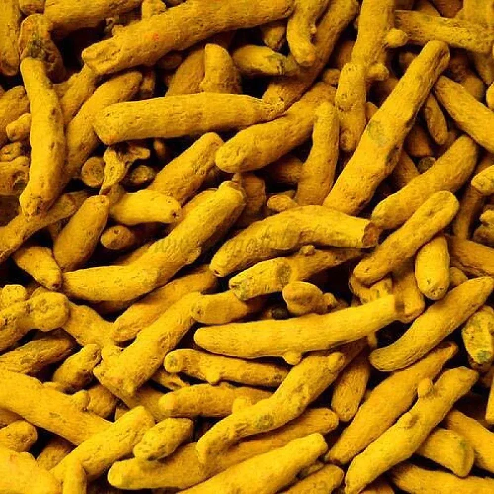 Whole Sun-Dried Turmeric Finger - Food & Agriculture by Sirsi Malnad Impex