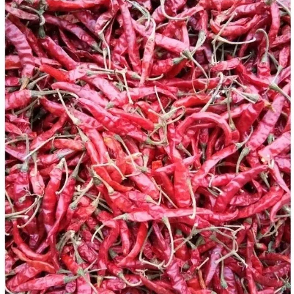 Teja Red Chilli Flakes - Food & Agriculture by KTH Services
