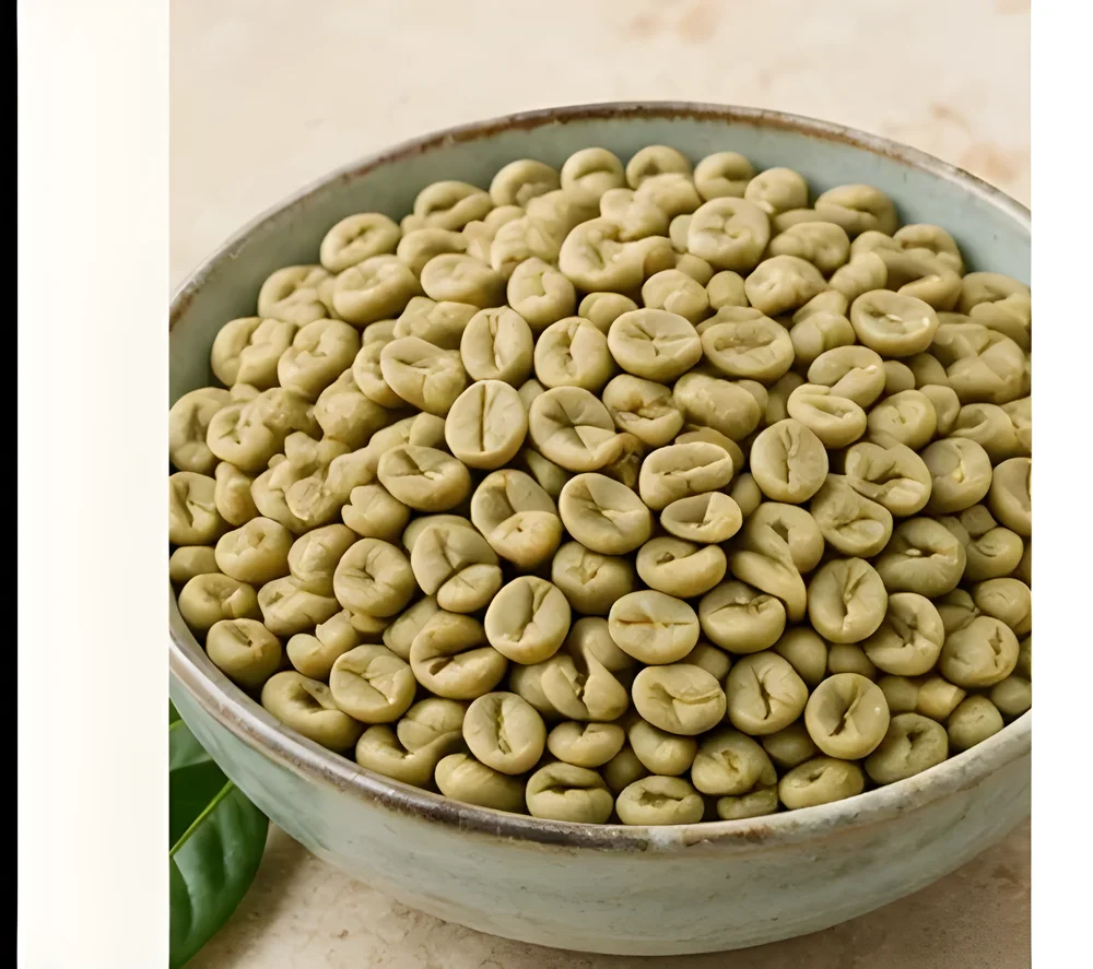 Indian Green Coffee Beans - Food & Agriculture by Globus Global Trade Import and Export