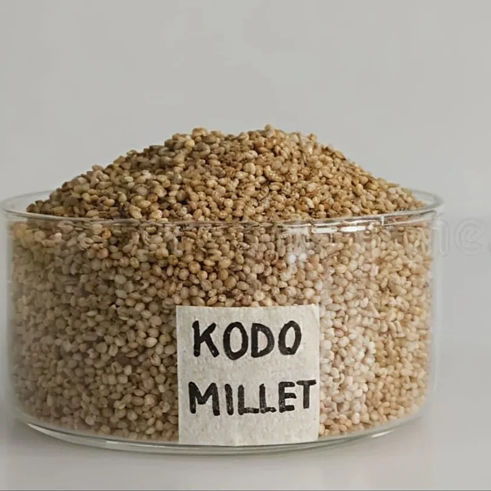 Kodo Millet (Kodri) - Food & Agriculture by Ali Agri Export