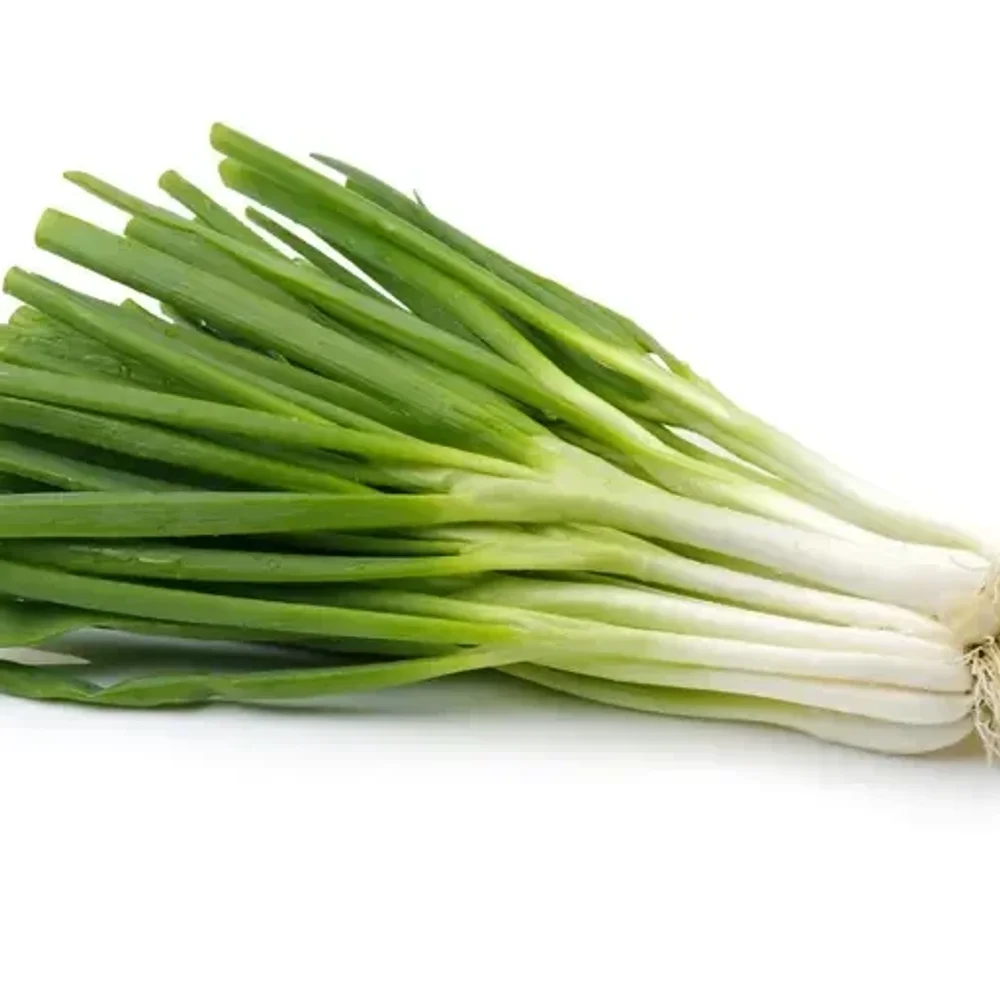 Premium Scallions for Wholesale - Food & Agriculture by Shyamrao Enterprises
