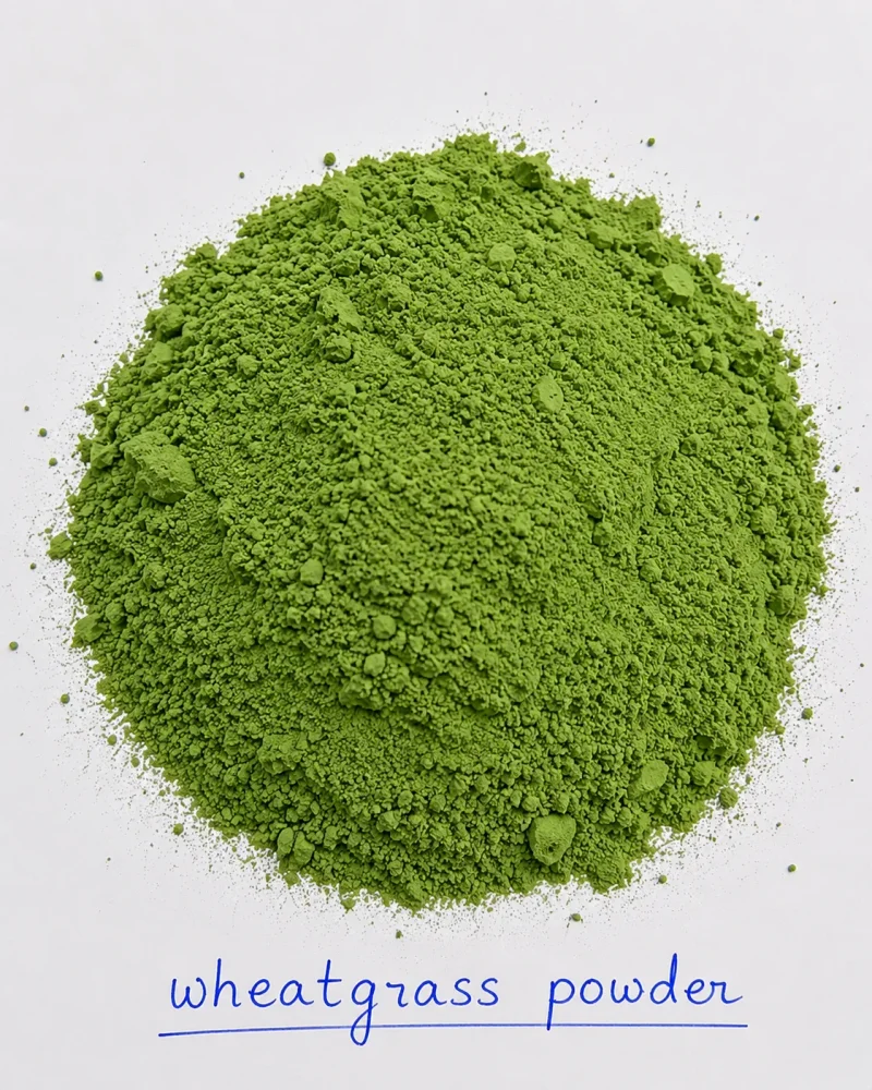 Wheat Grass Powder for Bulk Supply - Food & Agriculture by JD Tech Industries