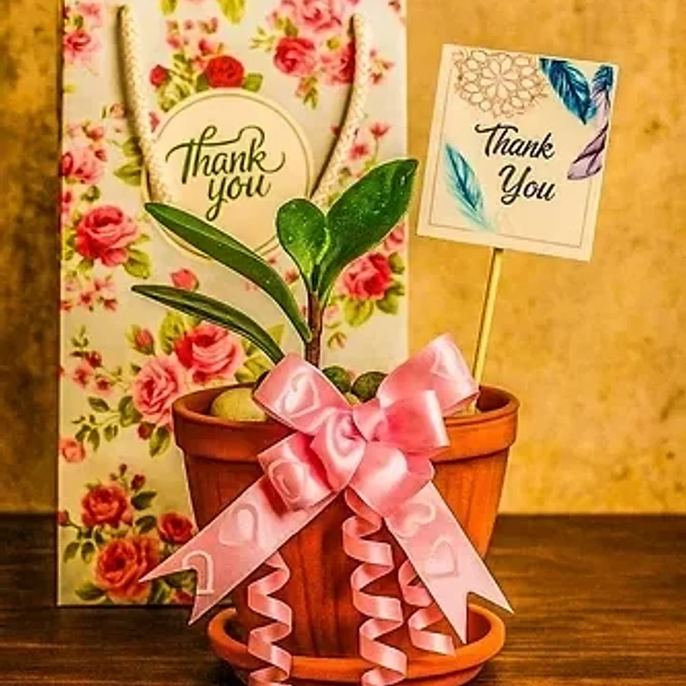 Terracotta Matka Clay Pot Gift Set - Handicrafts & Gifts by Cerra and Terra Home Decor
