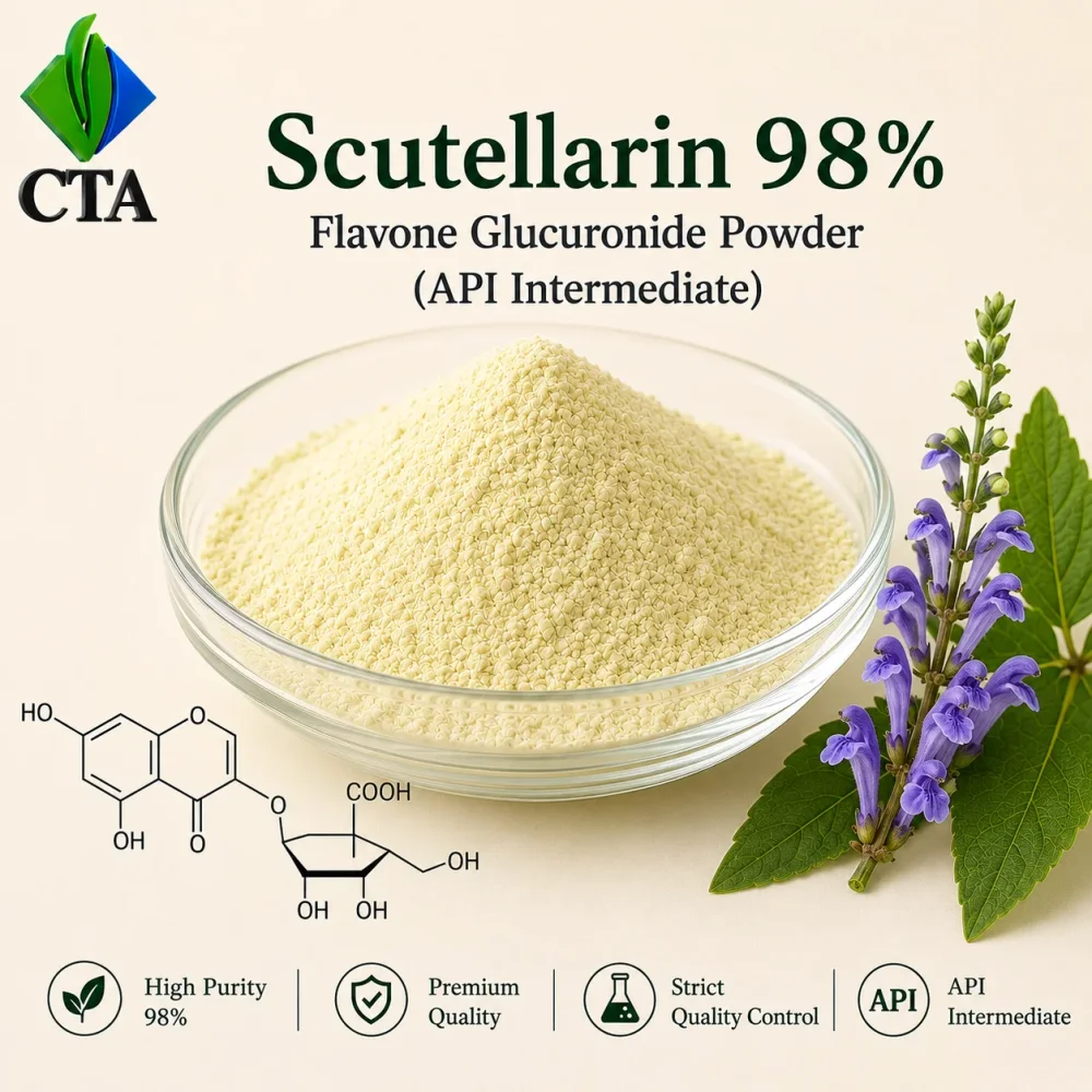 Scutellarin 98% Powder API Intermediate - Chemicals & Raw Materials by Central Trade Agency Pvt. Ltd.