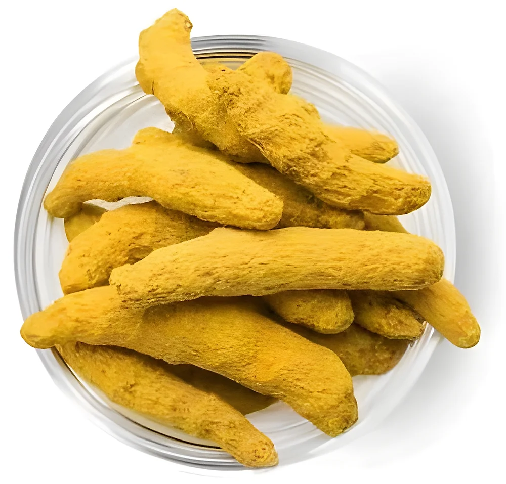Curcumin Rich Whole Turmeric - Food & Agriculture by Oviya Universal LLP