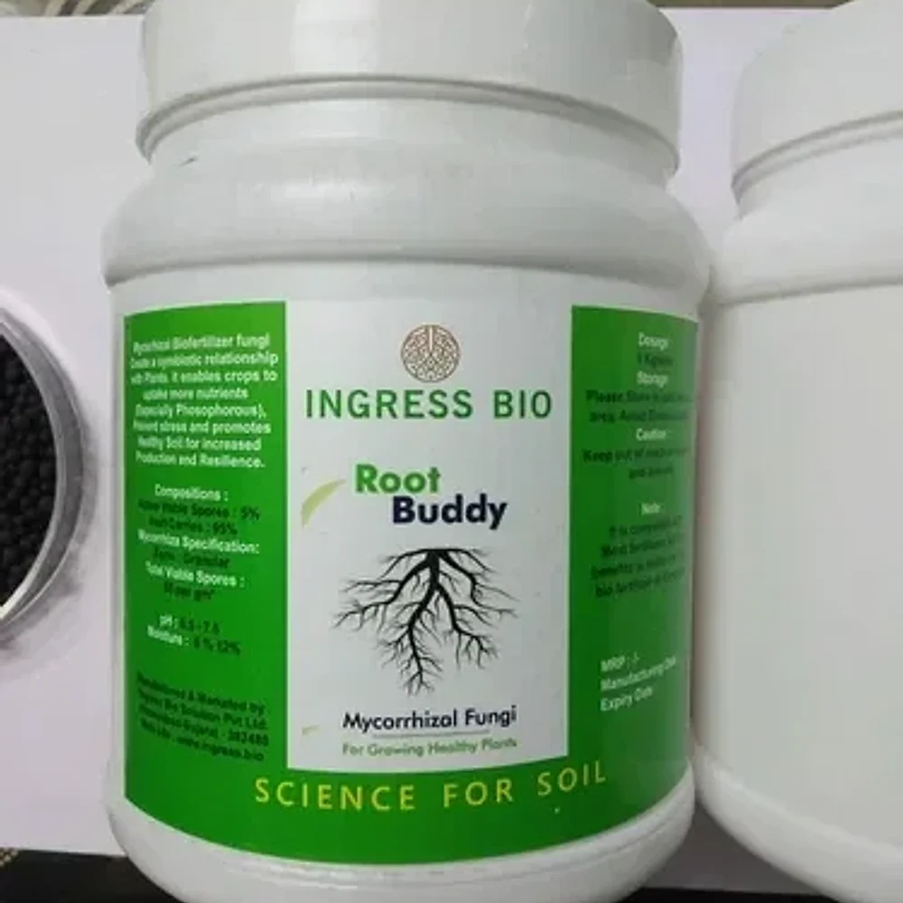 Mycorrhizal Granules Bio-Fertilizer - Food & Agriculture by Ingress Biosolutions Pvt. Ltd.