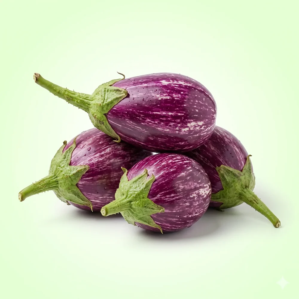 Brinjal Seeds – 100 Seeds | बैंगन, వంకాయ, கத்தரிக்காய், বেগুন, રીંગણા - Food & Agriculture by Vigyat Chemicals Co.