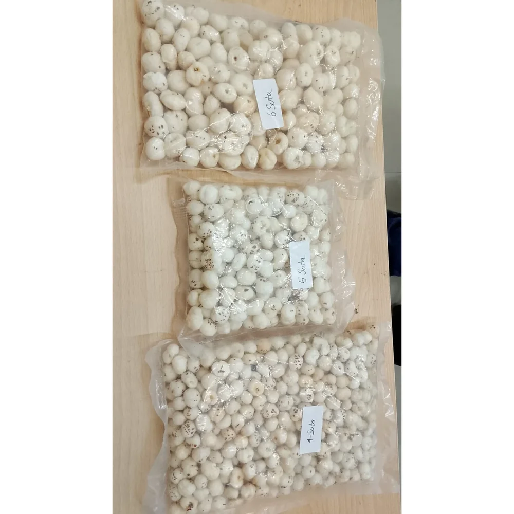Fox Nuts - Food & Agriculture by Jitban Supply Chain Pvt. Ltd.