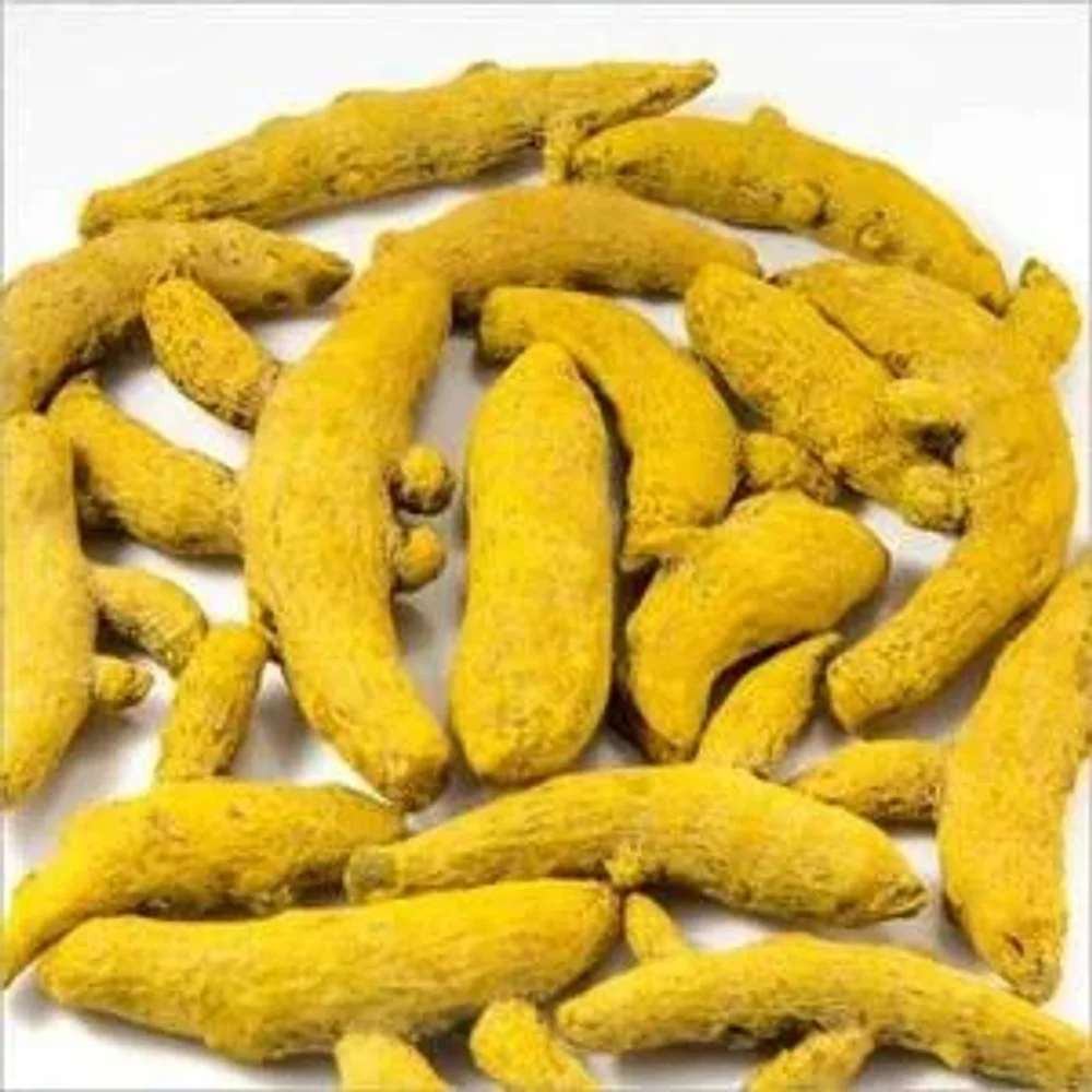 Alleppey Whole Turmeric Finger - Food & Agriculture by Oviya Universal LLP