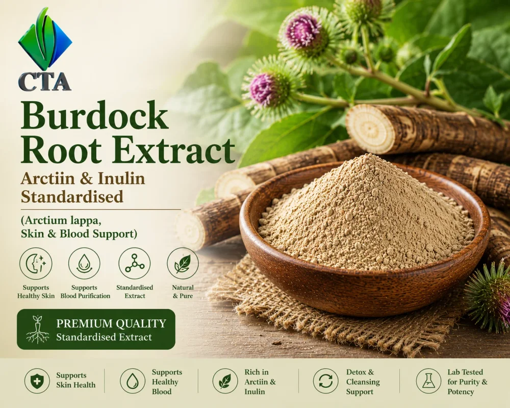 Burdock Root Extract Powder (Arctium Lappa) - Arctiin & Inulin Standardised - Chemicals & Raw Materials by Central Trade Agency Pvt. Ltd.