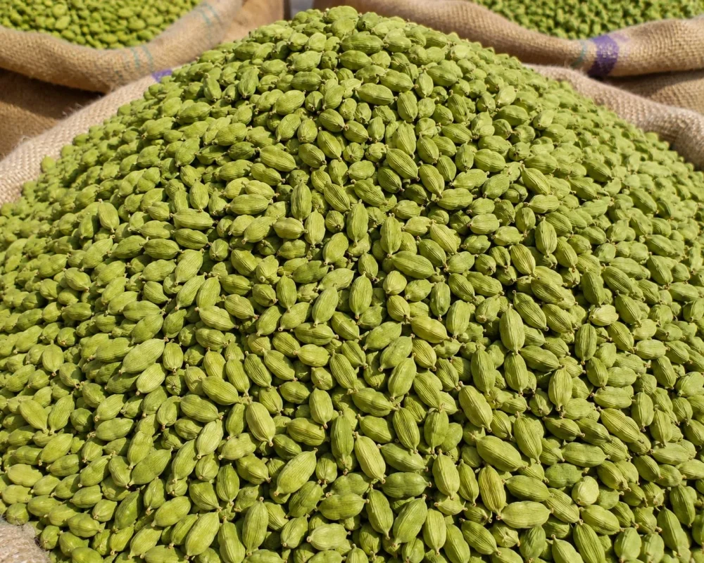 Bold Green Cardamom 7mm-8mm - Food & Agriculture by Salaragrand Pvt. Ltd.