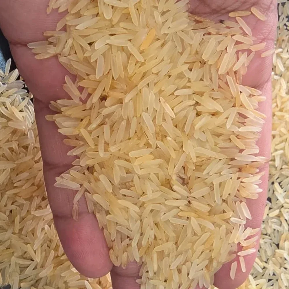 Golden Sella Basmati Rice Extra Long Grain - Food & Agriculture by Caresynch Gloabl Pvt. Ltd.