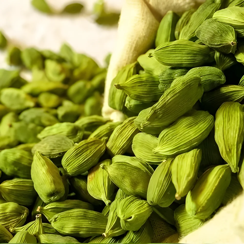 Green Cardamom - Food & Agriculture by Krishnapriya Export and Import