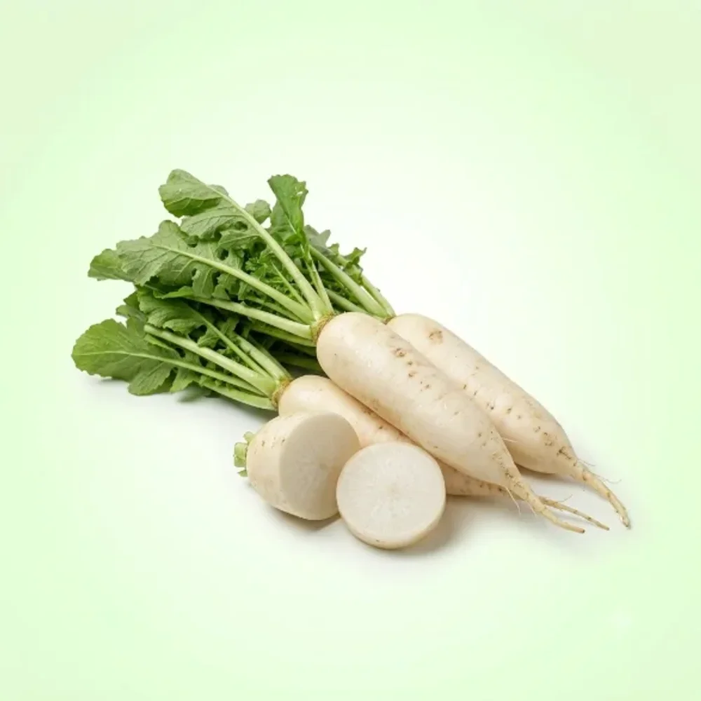 White Radish Seeds 1400 Seeds - Food & Agriculture by Vigyat Chemicals Co.