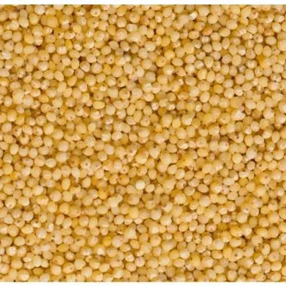 Unpolished Little Millet Rice - Food & Agriculture by Ikshana Oil and Foods Pvt. Ltd.