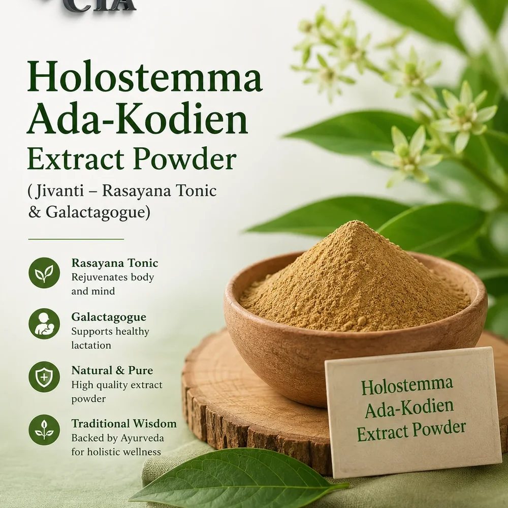 Holostemma Ada-kodien Root Extract Powder - Food & Agriculture by Central Trade Agency Pvt. Ltd.