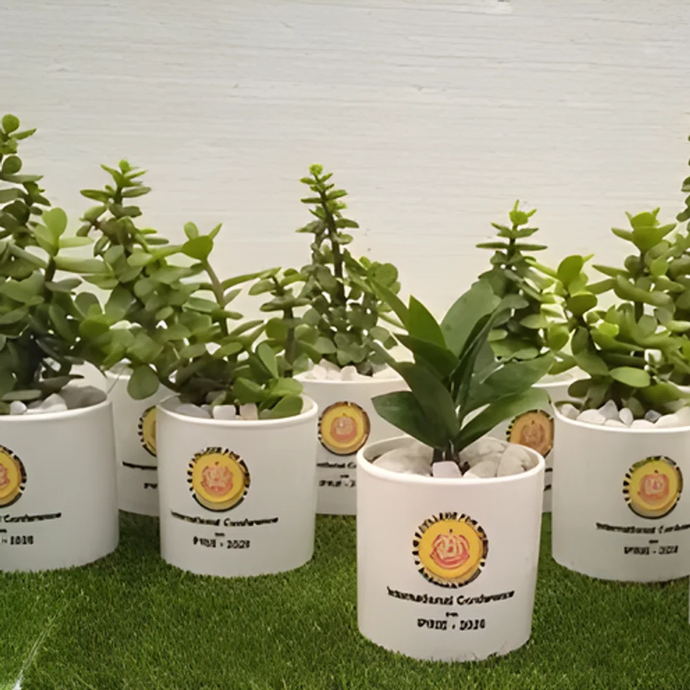 Cylindrical Ceramic Plant Pots for Corporate Gifting - Handicrafts & Gifts by Cerra and Terra Home Decor