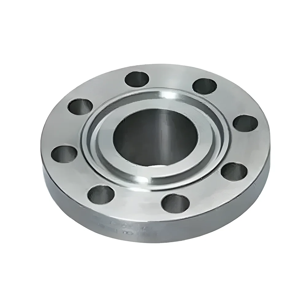 Hastelloy C22 Ring Type Joint Flanges - Metals & Alloys by Primo Drinks Pvt. Ltd.