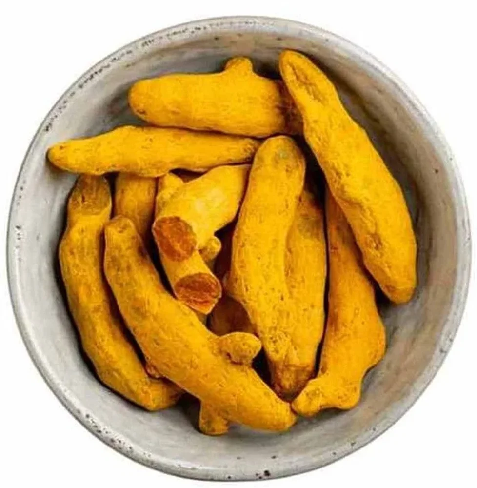 Premium Whole Turmeric Finger - Food & Agriculture by Oviya Universal LLP