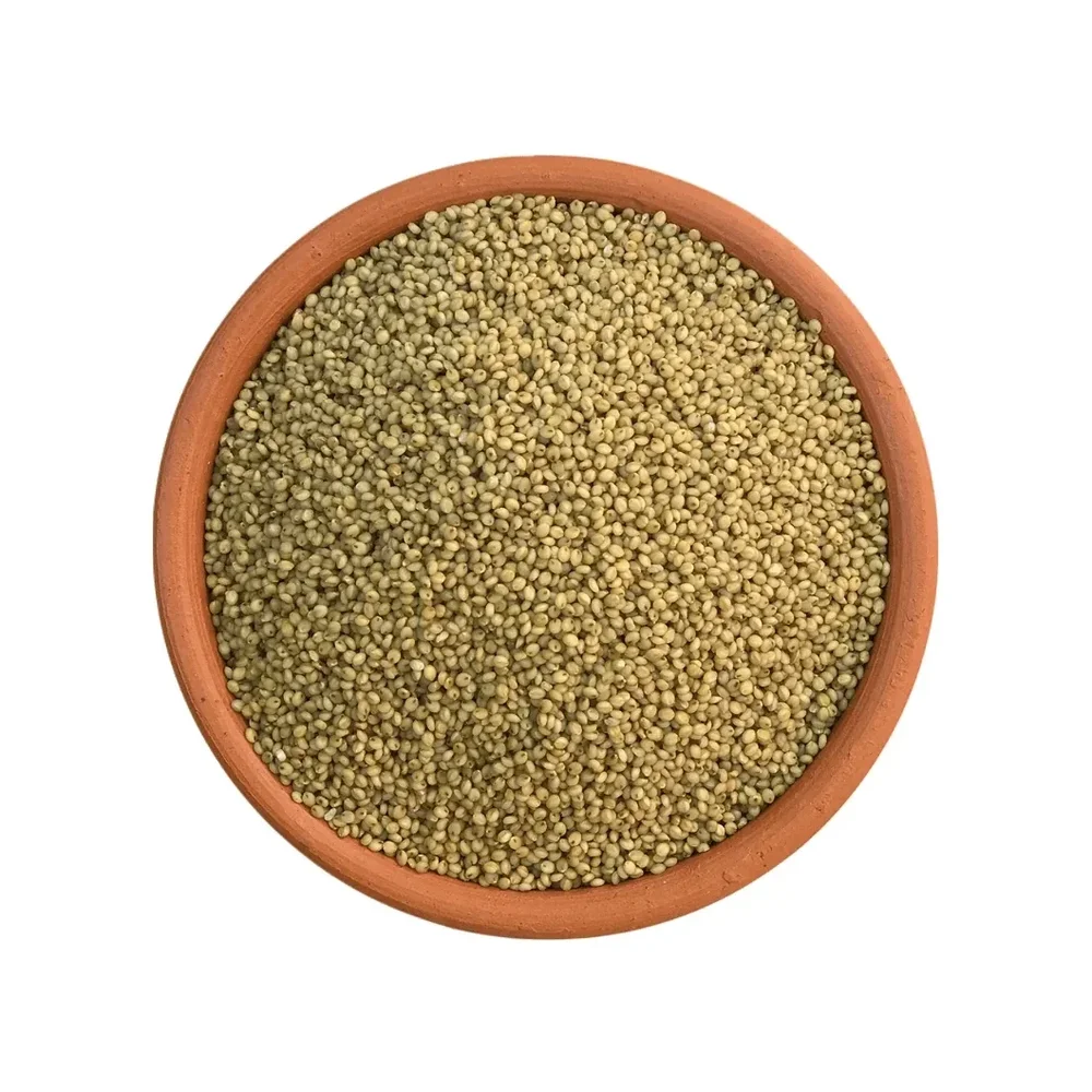 Whole Grain Browntop Millet - Food & Agriculture by Ikshana Oil and Foods Pvt. Ltd.