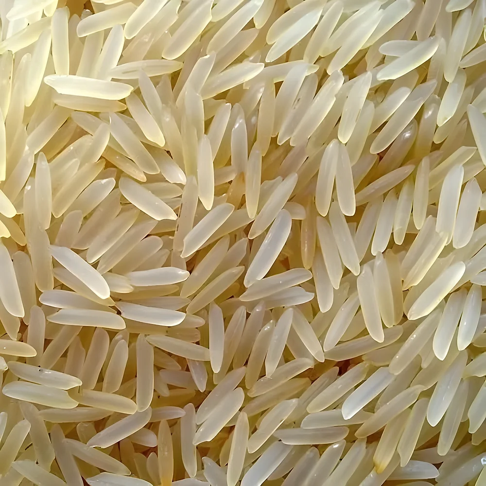1401 Basmati Rice 10kg, 20kg Packs - Food & Agriculture by Blue Core Impex