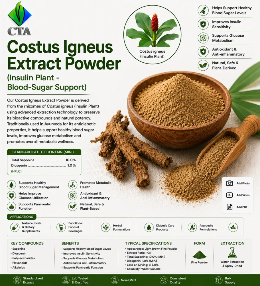Insulin Plant Extract Powder (Food Grade) - Food & Agriculture by Central Trade Agency Pvt. Ltd.