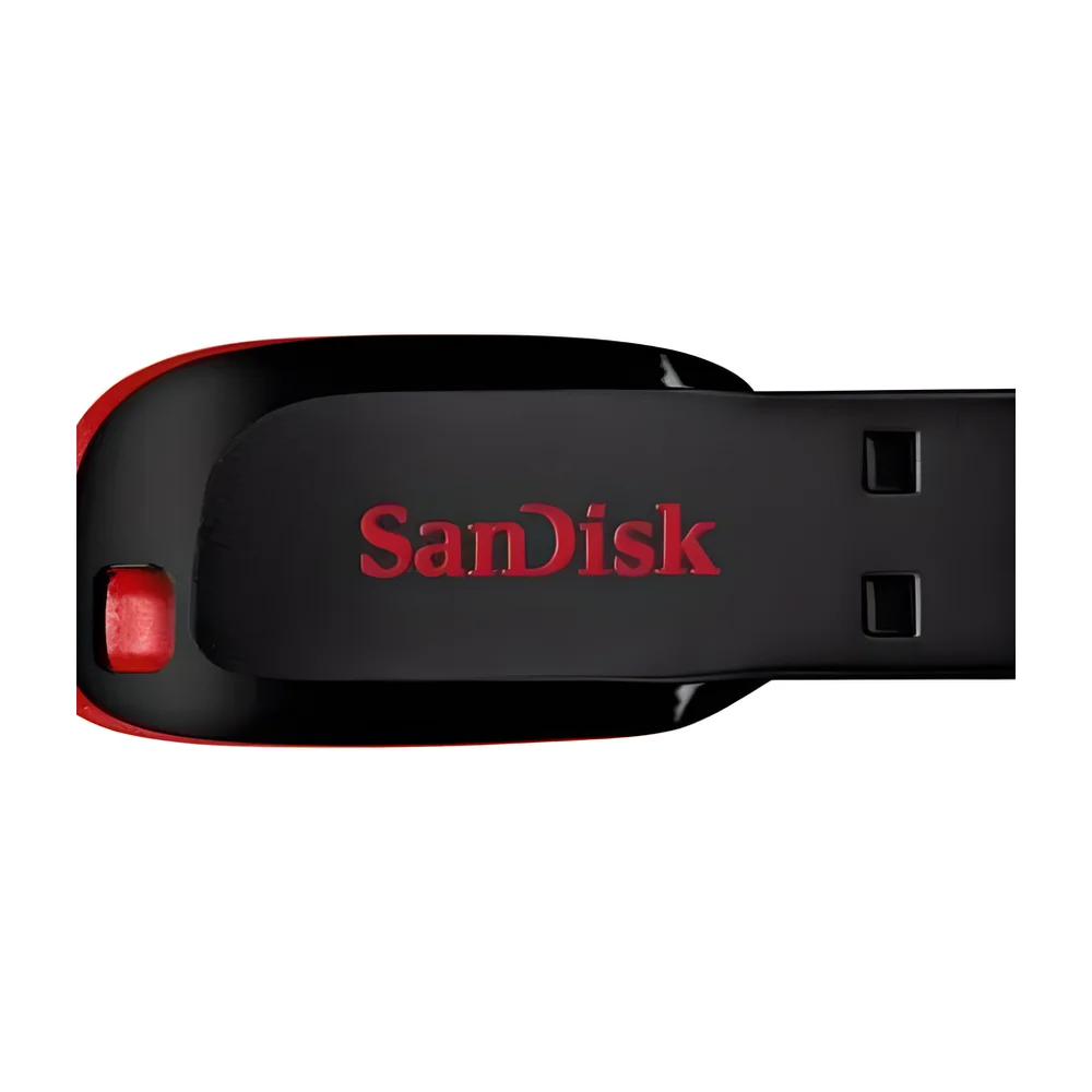 SanDisk 64 GB USB 2.0 Plastic Flash Drive - Electronics & Electrical by Trishulin Global