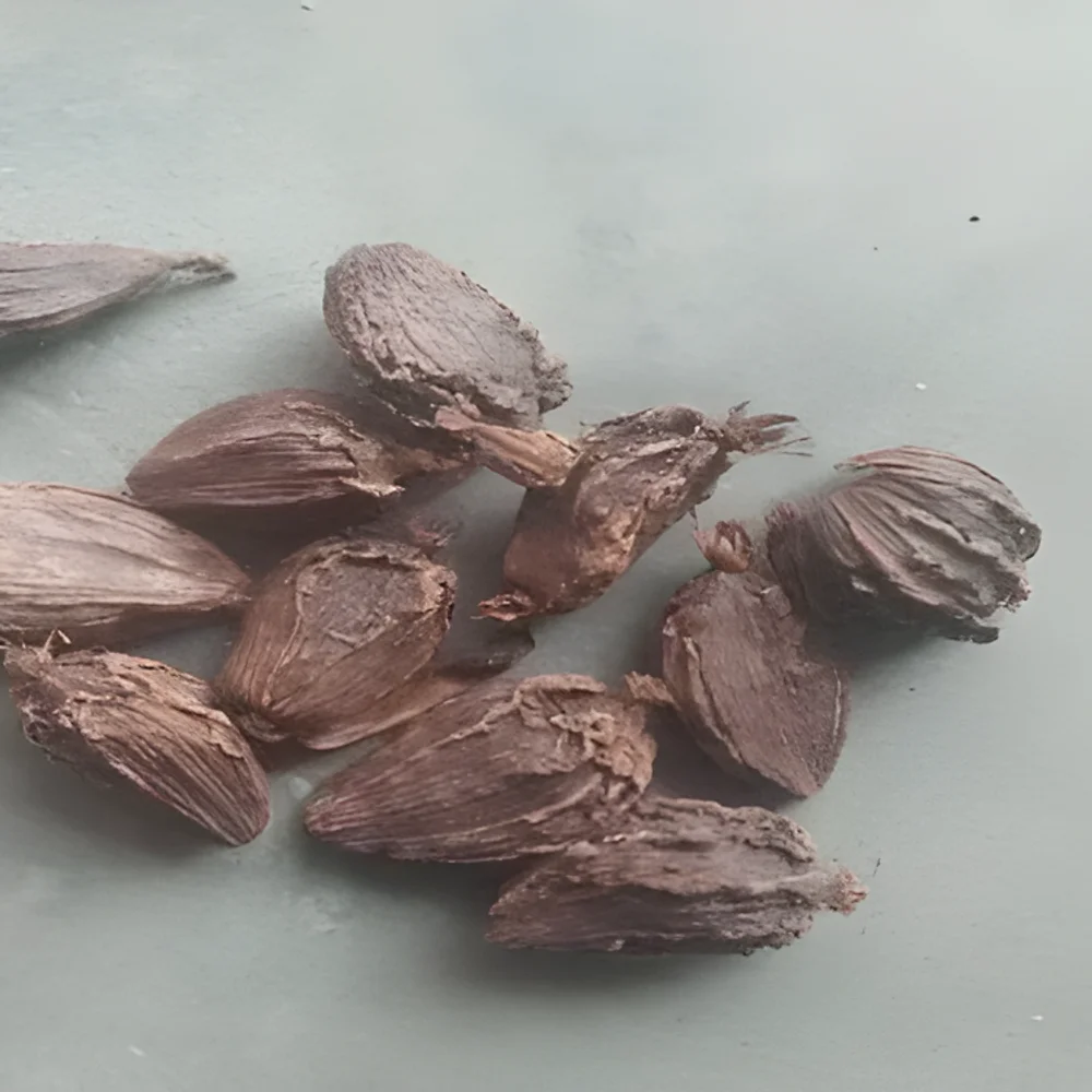 Black Cardamom Bold Whole Spice - Food & Agriculture by M/S. Capital Enterprise