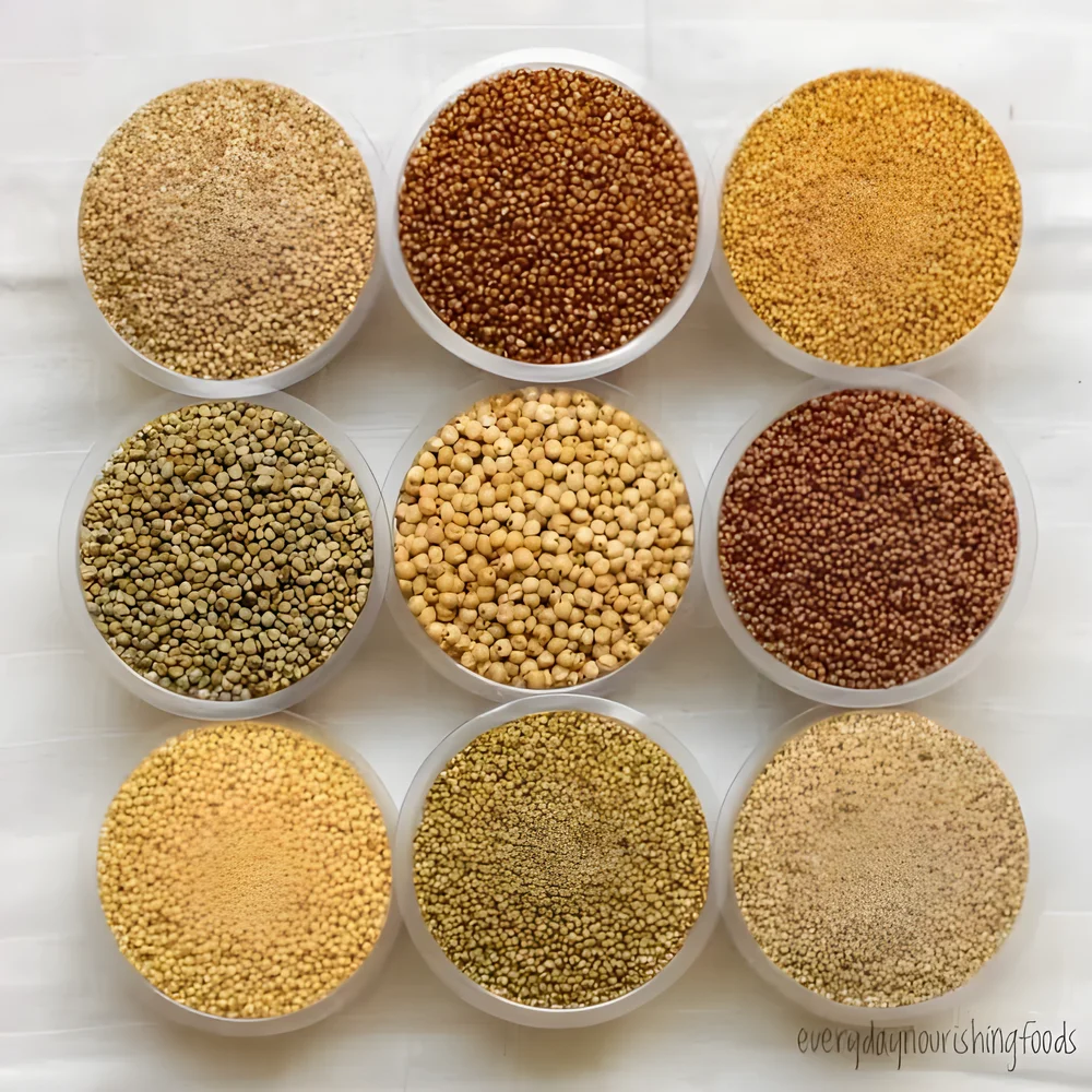 Bulk Proso Millet Whole Grain - Food & Agriculture by Krishnapriya Export and Import