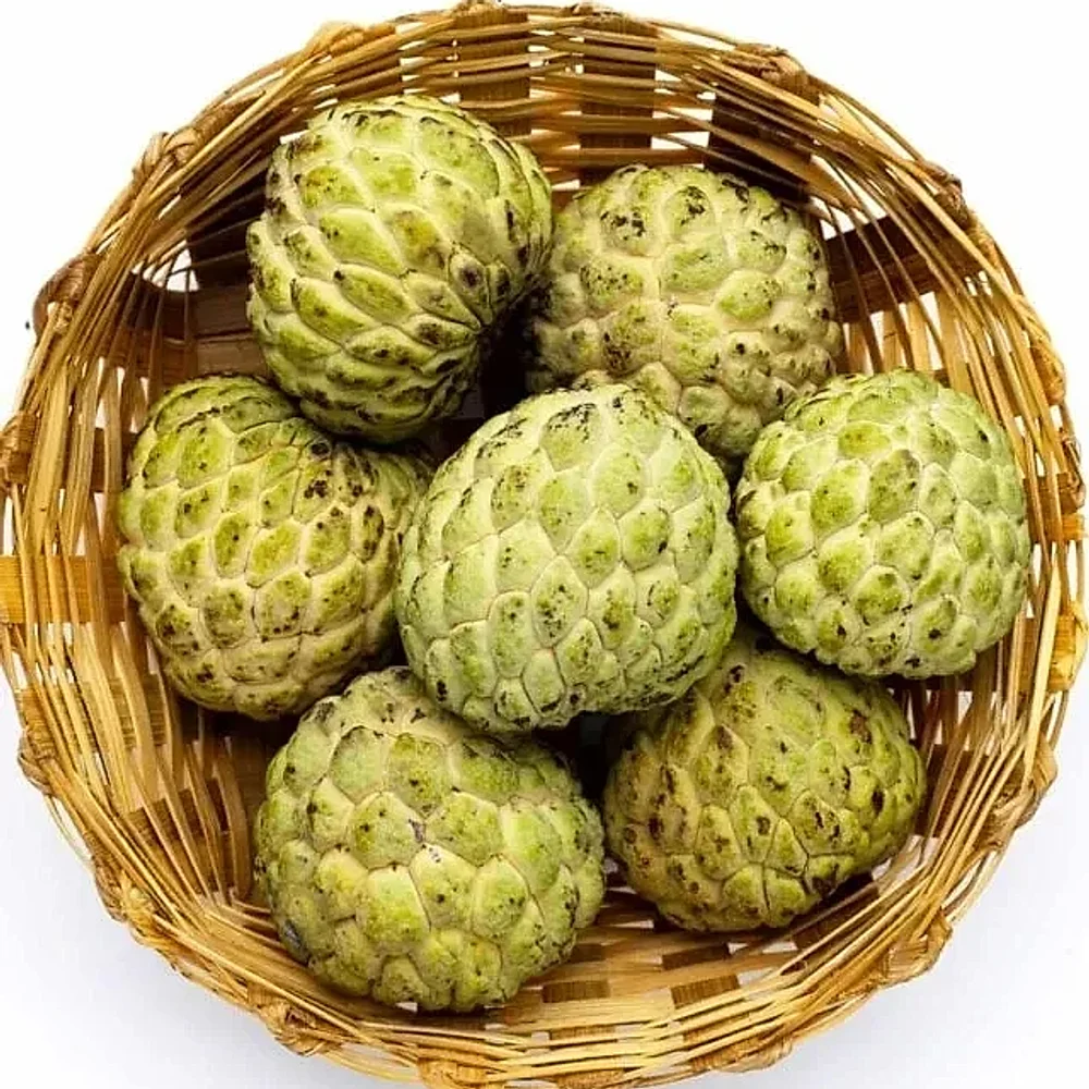 Premium Custard Apple Fruit - Food & Agriculture by Raz Traders