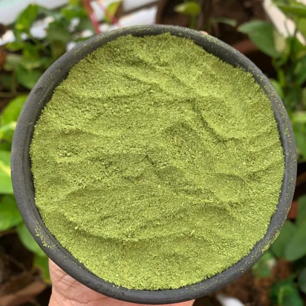 Moringa Leaf Powder - Food & Agriculture by Sirsi Malnad Impex