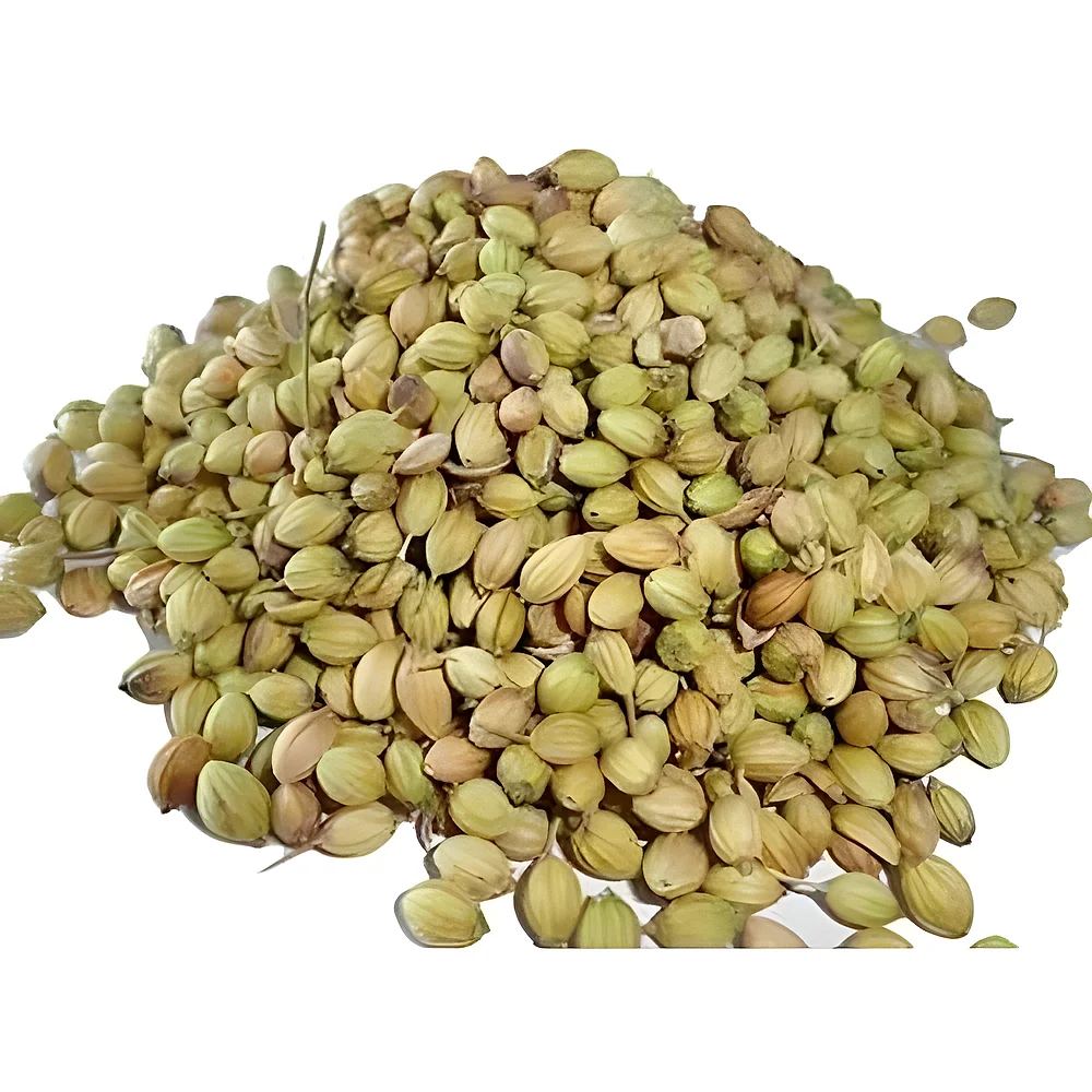 Bulk Whole Coriander Seed - Food & Agriculture by Oviya Universal LLP